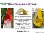 Дельта трап 60см*25см - фото 1