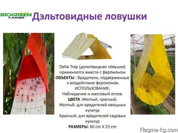 Дельта трап 60см*25см