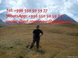 Guide, driver in Kyrgyzstan, travel, hiking, excursions, tou - фото 1