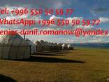Guide, driver in Kyrgyzstan, travel, hiking, excursions, tou - фото 4