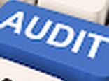 Аудиторские - фото 1