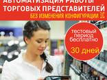 Автоматизация работы торгового агента. Контроль работы, местонахождения - фото 1