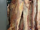 Beef - фото 3
