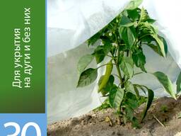 Белый укрывной материал 30 плотности