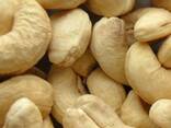 Cashew Nut Size W180 W240 W320 W450/ Certified WW320 Dried Cashew for Sale - фото 10
