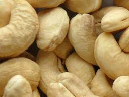 Cashew Nuts for sell