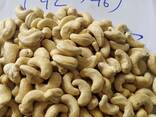 Cashew Nut Size W180 W240 W320 W450/ Certified WW320 Dried Cashew for Sale - фото 1