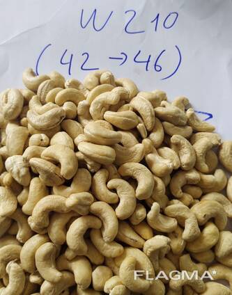 Cashew Nut Size W180 W240 W320 W450/ Certified WW320 Dried Cashew for Sale