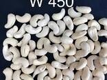 Cashew Nut Size W180 W240 W320 W450/ Certified WW320 Dried Cashew for Sale - фото 6