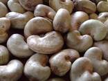 Cashew Nut Size W180 W240 W320 W450/ Certified WW320 Dried Cashew for Sale - фото 11