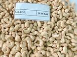 Cashew Nuts - фото 1