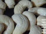 Cashew Nut Size W180 W240 W320 W450/ Certified WW320 Dried Cashew for Sale - фото 13