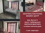 Элитные 1-комнатные квартиры посуточно в центре Бишкека - photo 1