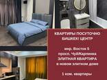 Элитные 1-комнатные квартиры посуточно в центре Бишкека - фото 2