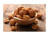 Factory supply walnut lowest price in shell walnuts kernels - фото 1