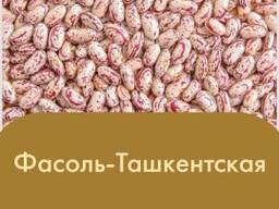 Фасоль Ташкентская (Королевский сорт 2020)
