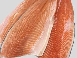 Frozen Salmon Frozen Fish