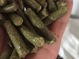 Гранулы из люцерны