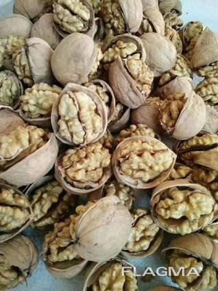 Греческий орех.