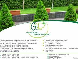 "Green Park" Озеленение и Благоустройство