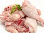 Halal Frozen Chicken, Thigh, Back quarter, Wings , Fillet IPBF , IQF, BF. - photo 1