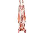 Halal Frozen Lamb - фото 1