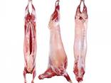 Halal Frozen Lamb - фото 2