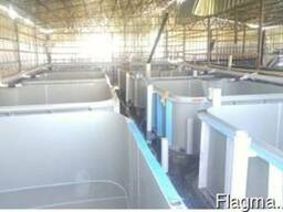 Инкубационный цех для лососевых
