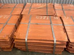 Катодний меди