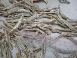 Купить сушеную рыбу в Кыргызстане от производителя из Вьетнама.