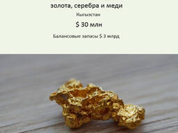 Месторождение золота