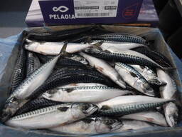 Мороженая рыба