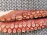Мороженные морепродукты и рыба в Кыргызстан от завода из Китая - фото 8