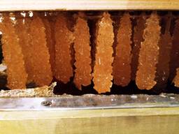 Нават из Узбекистана под заказ