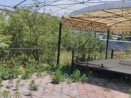 Недвижимость, дома