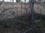 Недвижимость, дома - photo 2