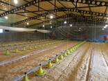 Оборудование для птицефермы. Автоматизированные птичники. - фото 1