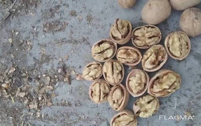 Орехи грецкие качества 100%