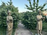 Отдых на Иссык Куле. Пансионат «Островок» Бостери - фото 3