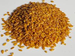 Овес голозерный