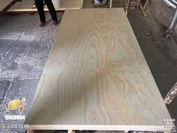 Pine plywood：（сосновая фанера）