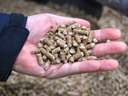 Premium Quality Wood Pellets