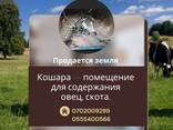 Продается земельный участок для содержания овец и скота! - фото 1