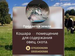 Продается земельный участок для содержания овец и скота!