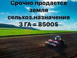Продается земля сельхоз назначения