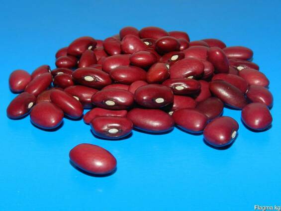White and Red Kidney beans from Kyrgyzstan Продам фасоль белую лопатка и томатный красный.