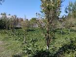 Продажа - photo 2