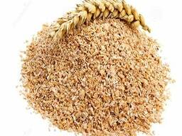 Пшеница мягкая, пшеница твердая