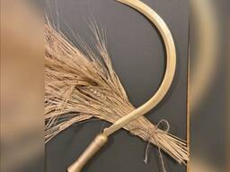 Пшеница, ячмень