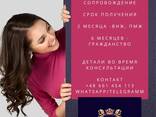 Работа, визы, внж во всей Европе для русско и англоговорящих - фото 3